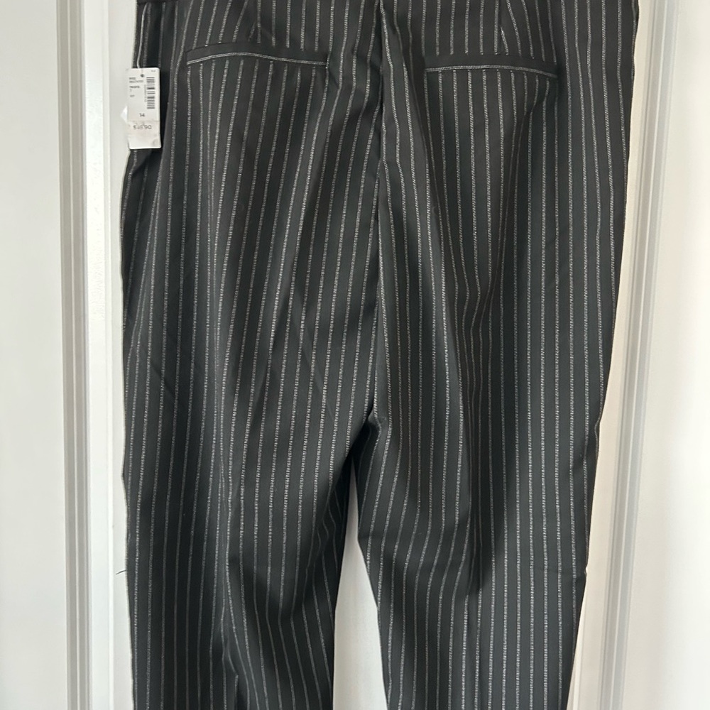 Ladies Pants